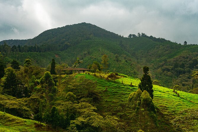 100-Year-Old family-run Finca: Horseback Riding & More - Key highlights to know before you go