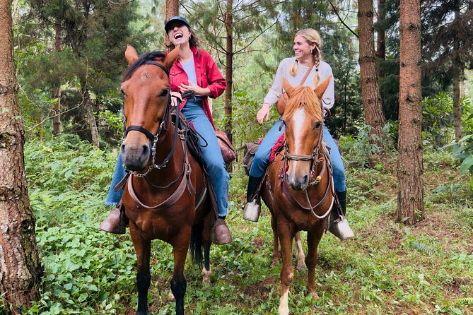 100-Year-Old family-run Finca: Horseback Riding & More - Monte and Panela Finca: a 100-Year Andes Family Day