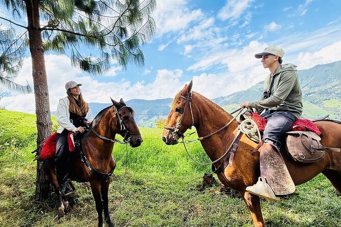 100-Year-Old family-run Finca: Horseback Riding & More - Animal Time You Can Actually Do: Calves, Cows, and Horse Treats