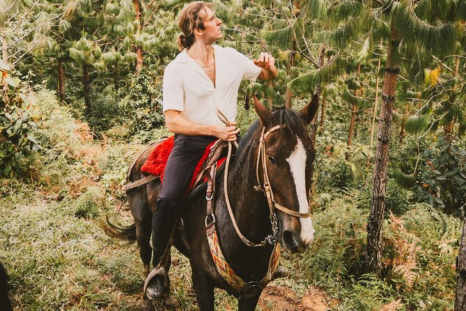 100-Year-Old family-run Finca: Horseback Riding & More - Horseback Riding That Feels Like a Cabalgata: Helmets and Trail Time