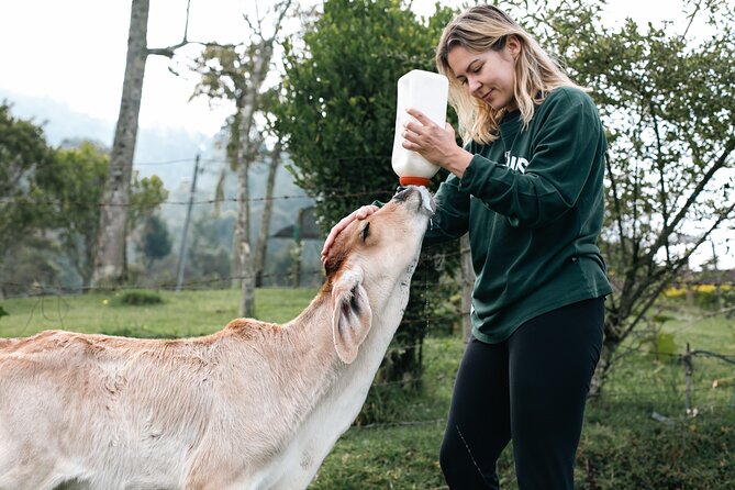 100-Year-Old family-run Finca: Horseback Riding & More - Top of the Hill: Hammocks, Fruit Picnic, and Mountain Air