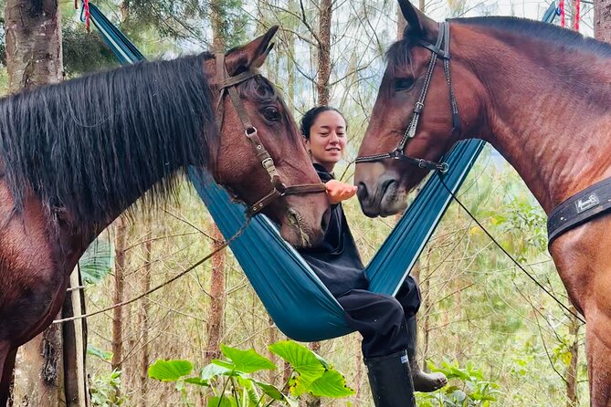 100-Year-Old family-run Finca: Horseback Riding & More - Who Should Book This Finca Morning Ride (and Who Might Want Another Option)