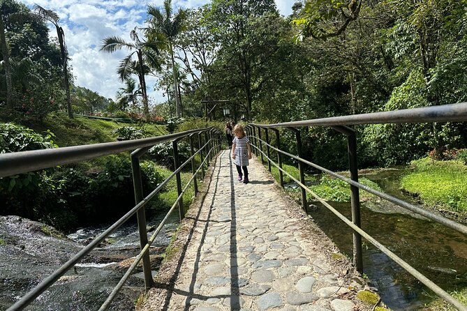 2 Days Experience: Cocora, Salento, Filandia, Coffee & Hotsprings - Price and value: what you’re paying for (and why it can feel fair)