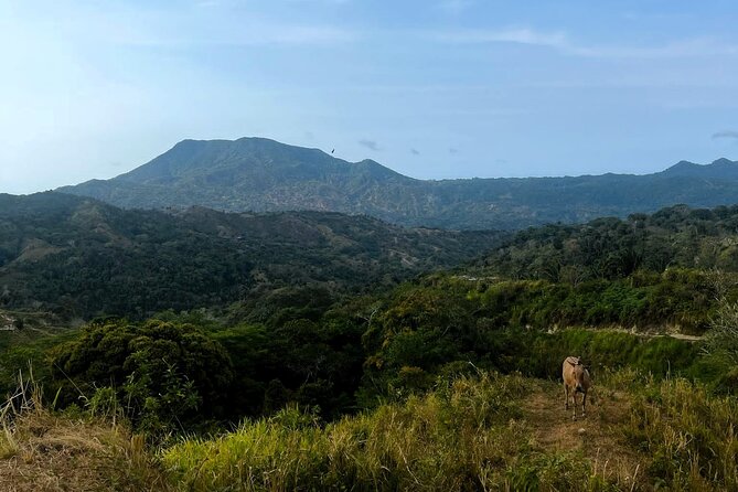 3 Day Bunkuany Ruins Trek in the Sierra Nevada of Santa Marta - Guides make this trek: the difference between info and connection
