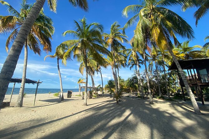 3 day private tour, crystal clear sea and islands near Cartagena - San Basilio de Palenque: More than a quick culture stop