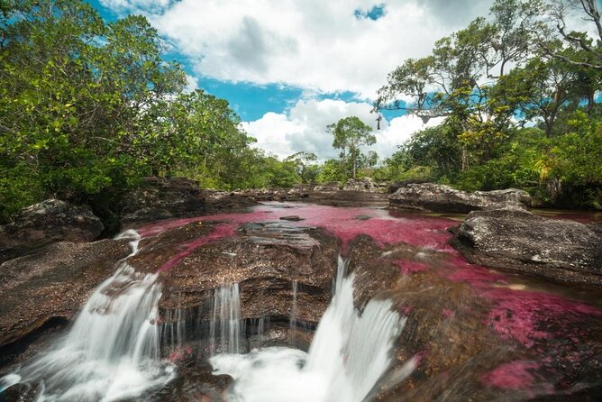 3-Day Trip to Caño Cristales from Bogota - Key things to know before you go