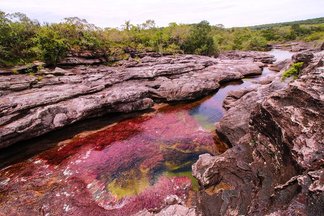 3-Day Trip to Caño Cristales from Bogota - Guides, small groups, and hiking-level matching