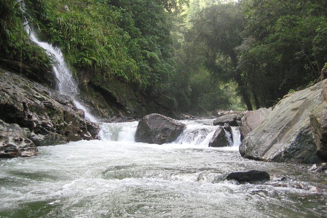 4-Day Lost City Small-Group Tour in Santa Marta - Small-group trekking: comfort that also helps safety