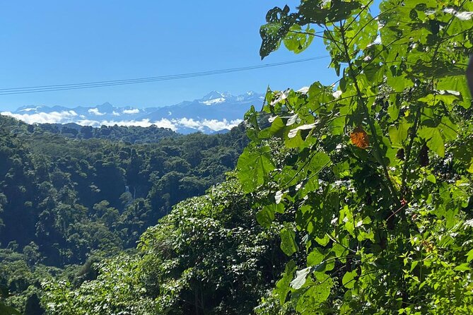 4-Day Walking Tour to Lost City of Sierra Nevada - Santa Marta return day: rivers, waterfalls, and a 5 pm finish