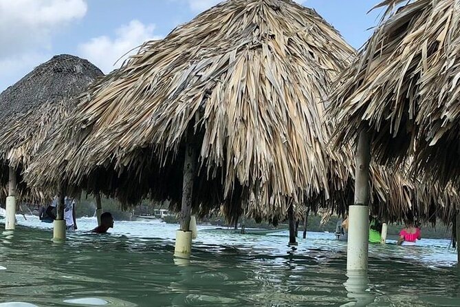4 islands - Islas de Rosario snorkeling: bring a snorkel plan
