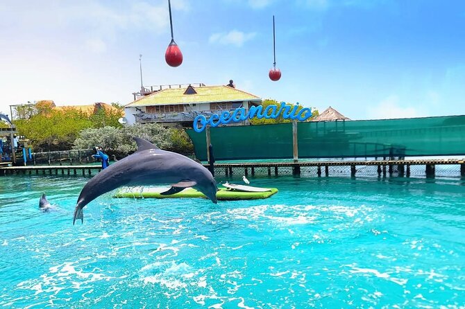 4 Rosario Islands Adventure with entrance to the oceanarium included - Key highlights worth planning for