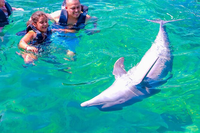 4 Rosario Islands Adventure with entrance to the oceanarium included - Stop 7: Sibarita del Mar finish, wrapping up the loop