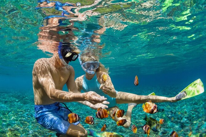 5-Island Speedboat Tour in Cartagena and the Rosario Islands - Key things I’d zero in on before you book