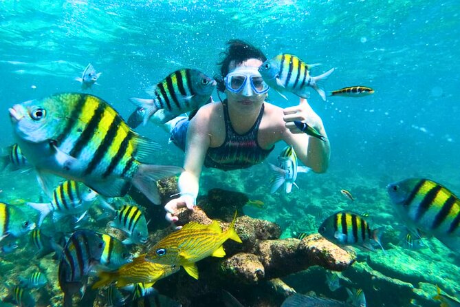 5 Stop Boat Tour Rosario Islands with Lunch, Forts, & Snorkeling - Key highlights to look for