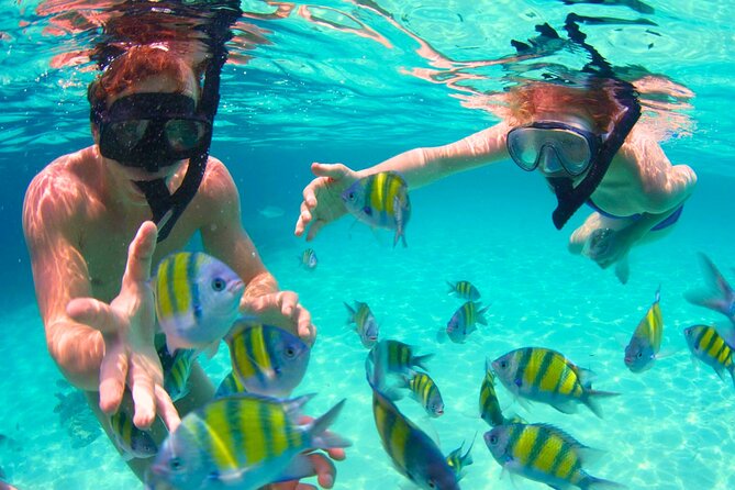 5 Stop Boat Tour Rosario Islands with Lunch, Forts, & Snorkeling - Isla Baru and why the Party option needs careful thinking
