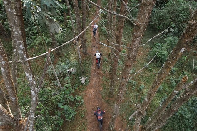 8-Days Private Enduro Mountain Bike Tour in Colombia - Manizales downhill at Infernal DH, plus sugarcane stop