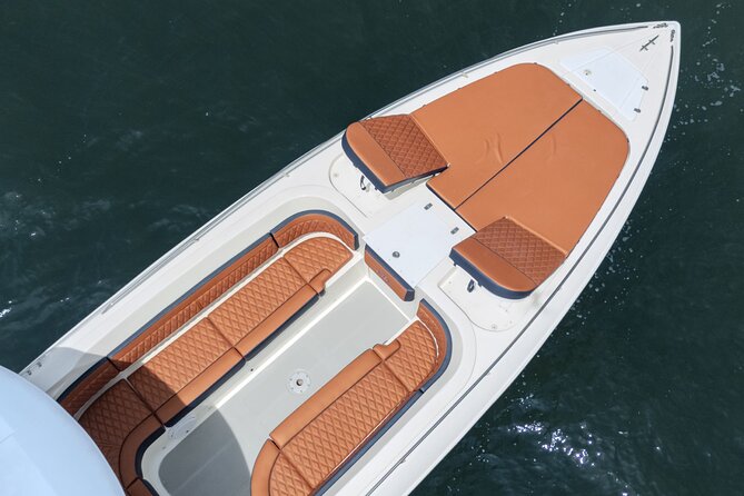 8-hour private tour in a luxurious and fast 41' AWA boat - Who this tour suits best
