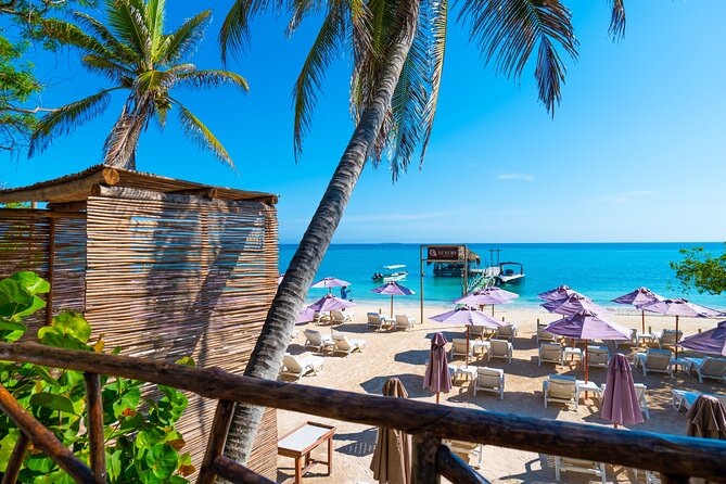 A Day to Private Island Luxury Beach Club with Food - Key Highlights You’ll Care About