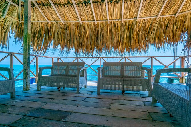 A Day to Private Island Luxury Beach Club with Food - Luxury Beach Club Access: Beds, Shade, and Oceanfront Lounge Space