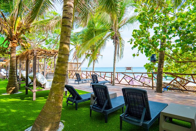 A Day to Private Island Luxury Beach Club with Food - Vendors and Roaming Animals: The Stuff No One Puts in Brochures