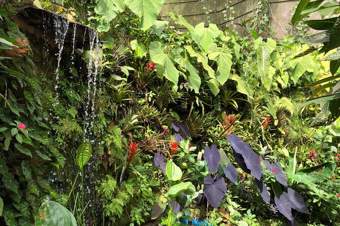Admission to Andoke Butterfly Center in Cali with Release Ritual - Where Mariposario Andoke fits in Cali