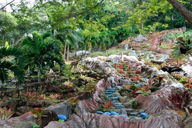 Admission to Andoke Butterfly Center in Cali with Release Ritual - The big butterfly enclosure, where calm and patience pay off