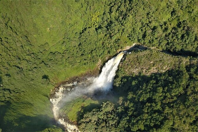 Aerial Hammocks, Zip and Waterfall Trek on Medellin Private Tour - Your Day Timeline: What Each Stop Really Feels Like