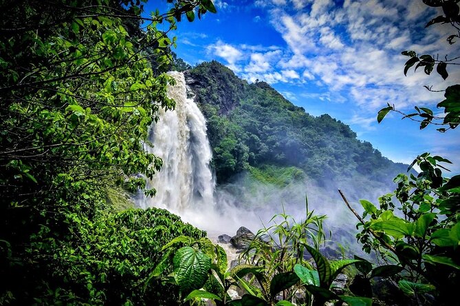 Aerial Hammocks, Zip and Waterfall Trek on Medellin Private Tour - Weather and Rescheduling: What Happens If Conditions Are Bad