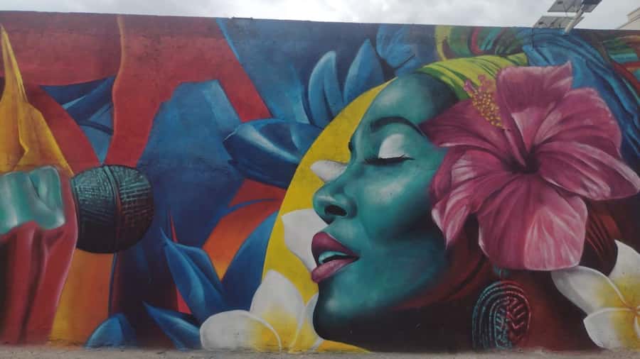 Afro Walking Tour. The colors of Cali. - Who should book (and who might want a different option)