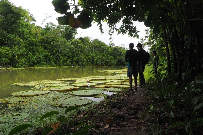 Amazon Conscious Adventure: 5-Day Trek, Kayak & Wildlife - Leticia in the Right Mood for the Amazon