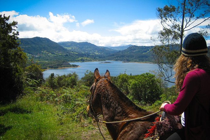 Andes Mountains Horseback Riding - Half Day - Key highlights that make this ride worth it