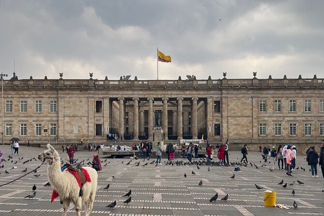 Armed Conflict and Violence Tour in Bogotá, Colombia - Gaitán and the Bogotazo: why one death changed a whole country