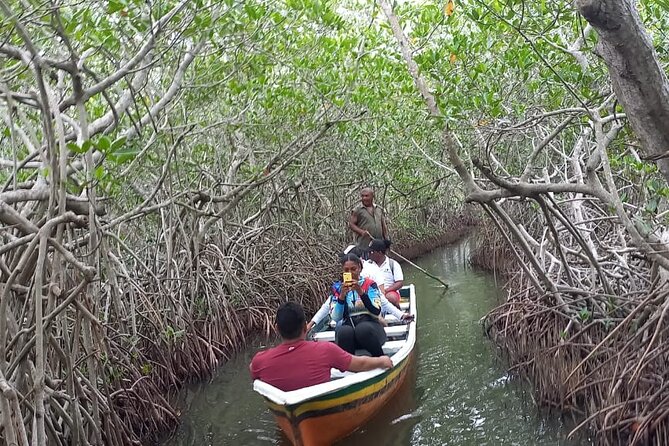 Artisanal Canoe Tour in the Mangrove with Afro-Caribbean Dance - Start at Playas de la Boquilla: Culture Before the Canoe