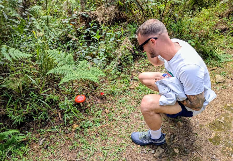 Arvi Park Walking tour and city views from Metrocable. - Arví Park and Metrocable: why this combo works
