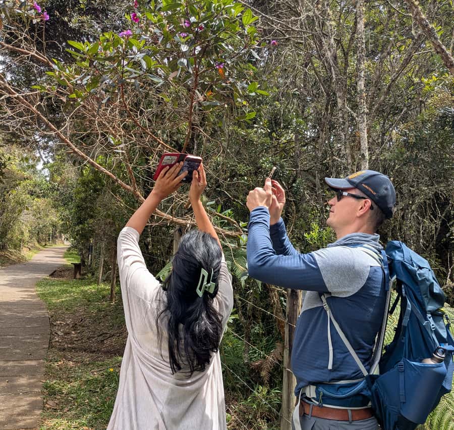 Arvi Park Walking tour and city views from Metrocable. - What to bring (and what to skip)