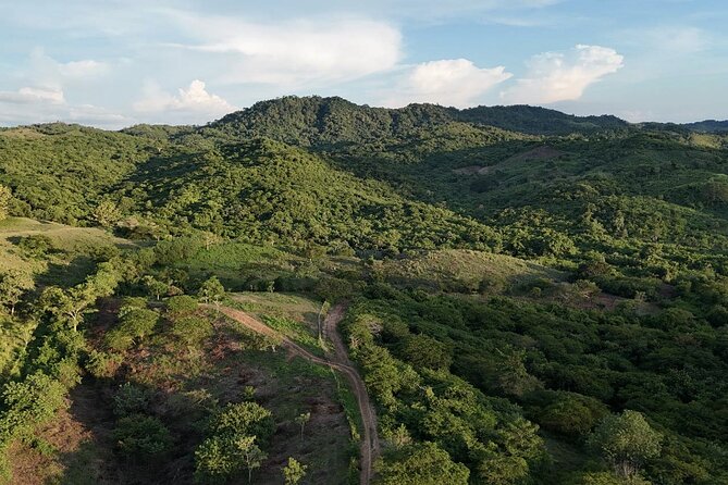 ATV Thrill Ride Near Cartagena Through Wildlife Trails and Nature - ATV time on a Honda TRX 250, with wildlife trails as the real route