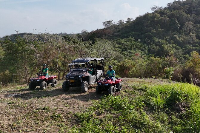 ATV Thrill Ride Near Cartagena Through Wildlife Trails and Nature - Villanueva rural life: cassava, maize, and animals roaming free