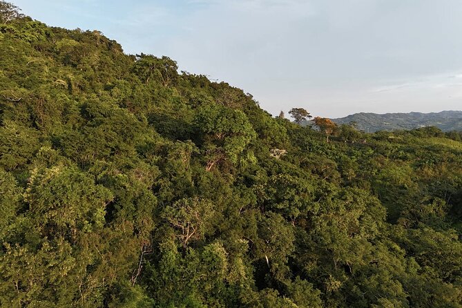 ATV Thrill Ride Near Cartagena Through Wildlife Trails and Nature - Who should book this ATV-and-wildlife experience, and who might not