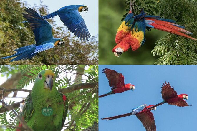 ATV Thrill Ride Near Cartagena Through Wildlife Trails and Nature - Breakfast by the lake, then conservationists bring the story to life
