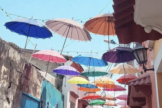 Authentic Cartagena City Tour - La Boquilla Mangroves by Canoe, Then Beach Lunch
