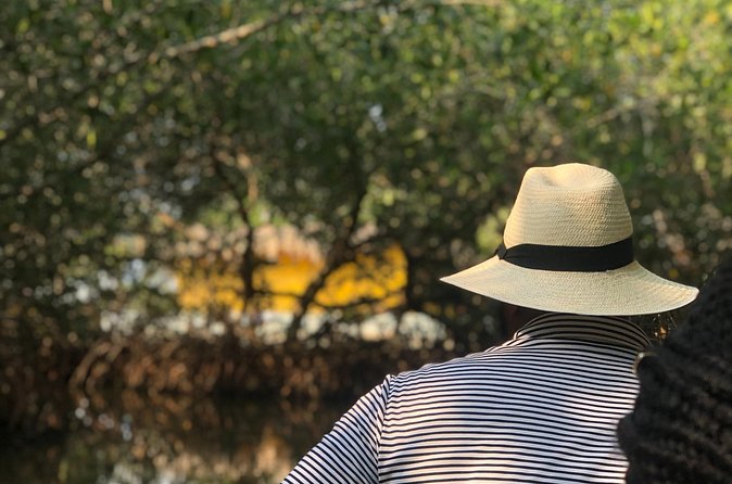 Authentic Cartagena City Tour - Why the $530 Group Price Often Makes Sense in Cartagena