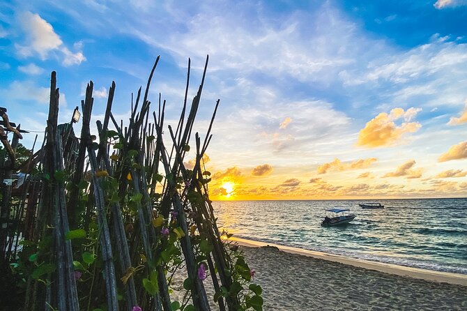 Baru and Playa Blanca Full Day - Value Check: What You Pay For, What Costs Extra, and What to Bring