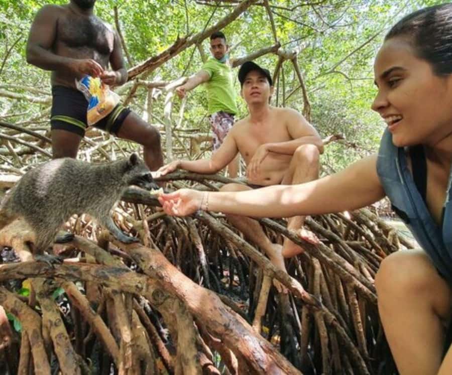 Barú: Club Freedom Beach with Mangrove and Snorkel - Snorkeling in the Rosario Islands: Clear Water Time Without the Rush