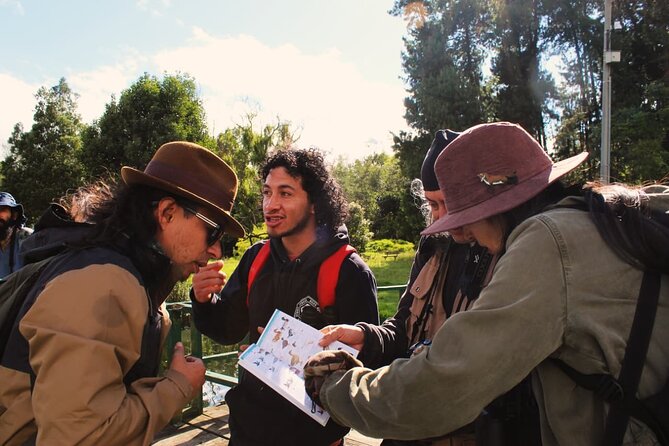Bird watching in Bogota wetlands with Bakata Bird - Guides and group vibe: practical help that makes species spotting easier