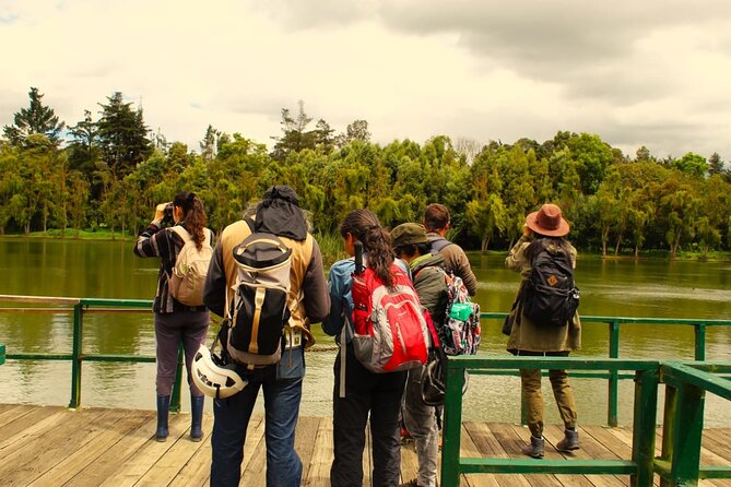 Bird watching in Bogota wetlands with Bakata Bird - Getting the timing right: 4 hours, Thursday mornings, one meeting point