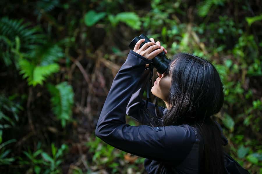 Birding Medellin with expert bird-watcher (Private) - The La Romera reserve: where the birds do most of the work