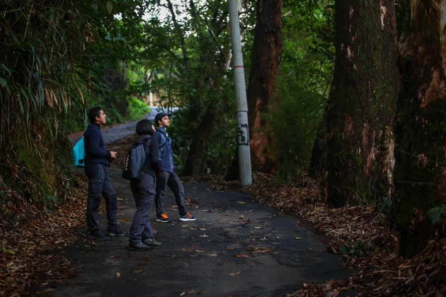 Birding Medellin with expert bird-watcher (Private) - How the guides help you ID birds fast (Sebastian, Alejandro, and Ana)