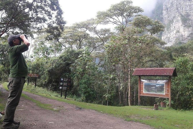 Birding & Nature to Chicaque Cloud Forest Nature Reserve - Why Chicaque birding starts before the sun