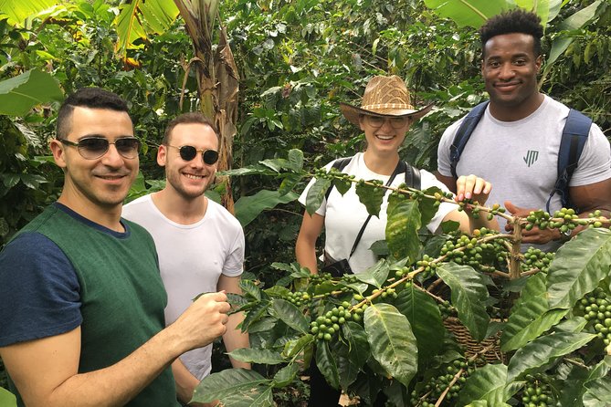 Birds & Beans Traditional Coffee Tour - Key takeaways before you go
