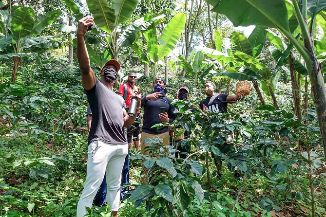 Birds & Beans Traditional Coffee Tour - Quinini Nature Reserve: views, biodiversity, and why binoculars are an option